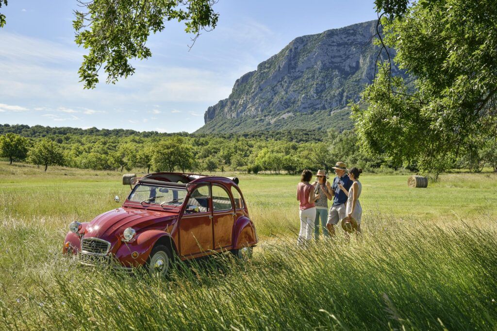 Vineyard Tours In France