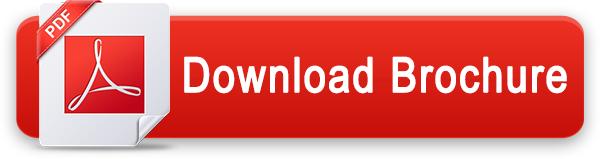 Download PDF