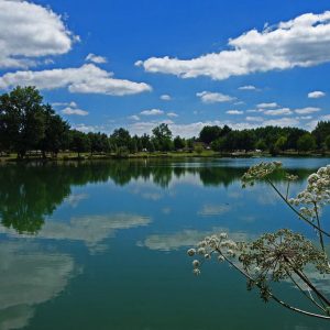 tours de france tarbes